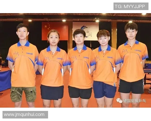 成都乒乓球队的训练节奏与赛事表现深度解析与展望